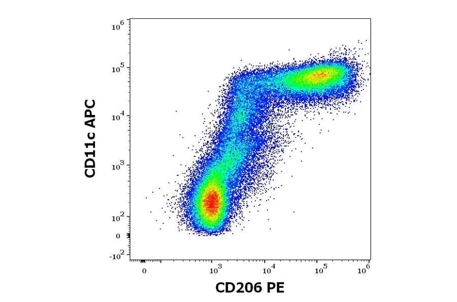 Flow Cytometry - Anti-Mannose Receptor Antibody [15-2] (PE) (A85834)