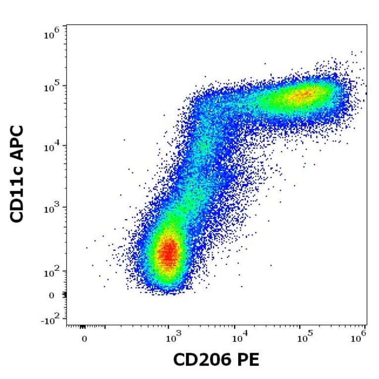 Flow Cytometry - Anti-Mannose Receptor Antibody [15-2] (PE) (A85834)