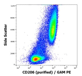 Flow Cytometry - Anti-Mannose Receptor Antibody [15-2] (A85836)