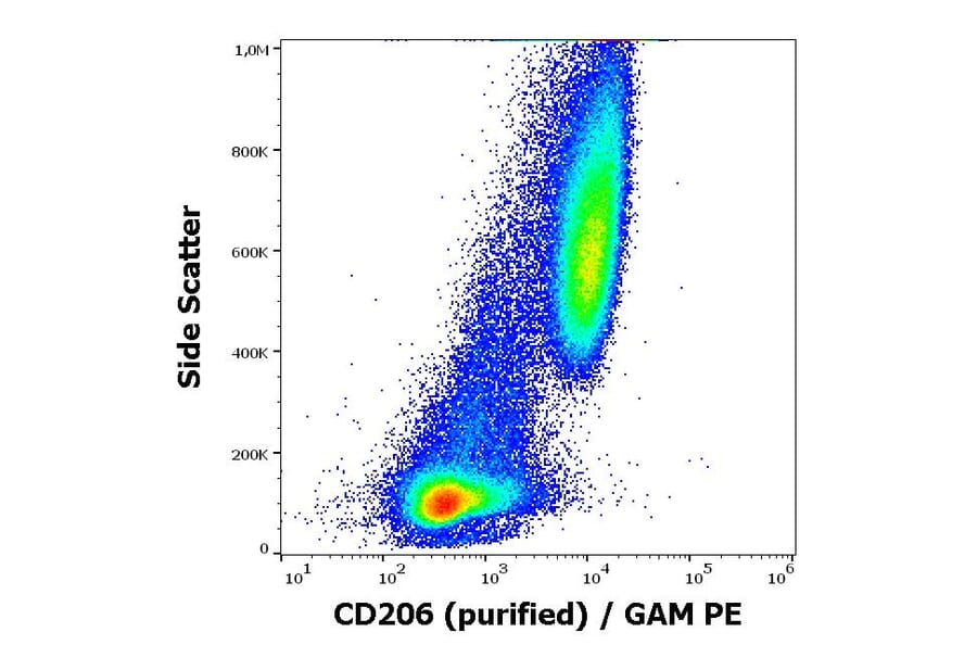 Flow Cytometry - Anti-Mannose Receptor Antibody [15-2] (A85836)