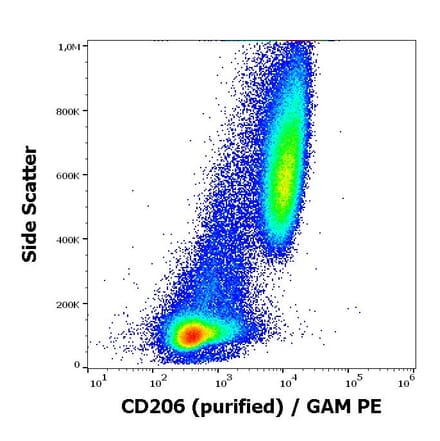Flow Cytometry - Anti-Mannose Receptor Antibody [15-2] (A85836)