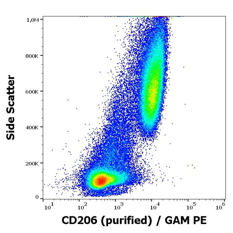Flow Cytometry - Anti-Mannose Receptor Antibody [15-2] (A85836)