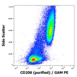 Flow Cytometry - Anti-Mannose Receptor Antibody [15-2] (A85836)