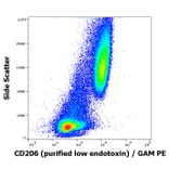 Flow Cytometry - Anti-Mannose Receptor Antibody [15-2] - Low endotoxin, Azide free (A85837)