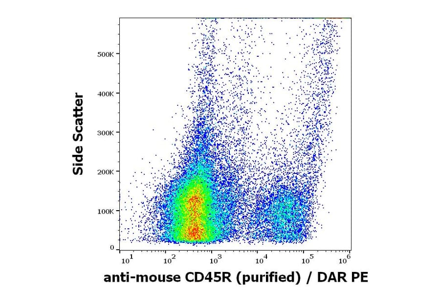 Flow Cytometry - Anti-CD45R Antibody [RA3-6B2] (A85838)