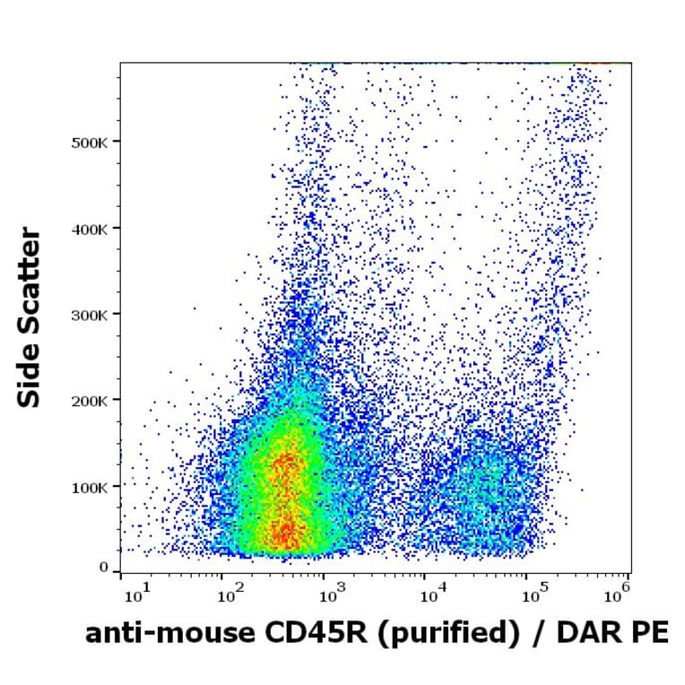 Flow Cytometry - Anti-CD45R Antibody [RA3-6B2] (A85838)