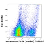 Flow Cytometry - Anti-CD45R Antibody [RA3-6B2] (A85838)