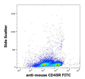 Flow Cytometry - Anti-CD45R Antibody [RA3-6B2] (FITC) (A85840)