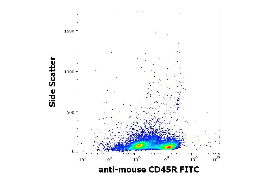 Flow Cytometry - Anti-CD45R Antibody [RA3-6B2] (FITC) (A85840)