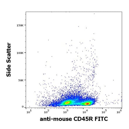 Flow Cytometry - Anti-CD45R Antibody [RA3-6B2] (FITC) (A85840)