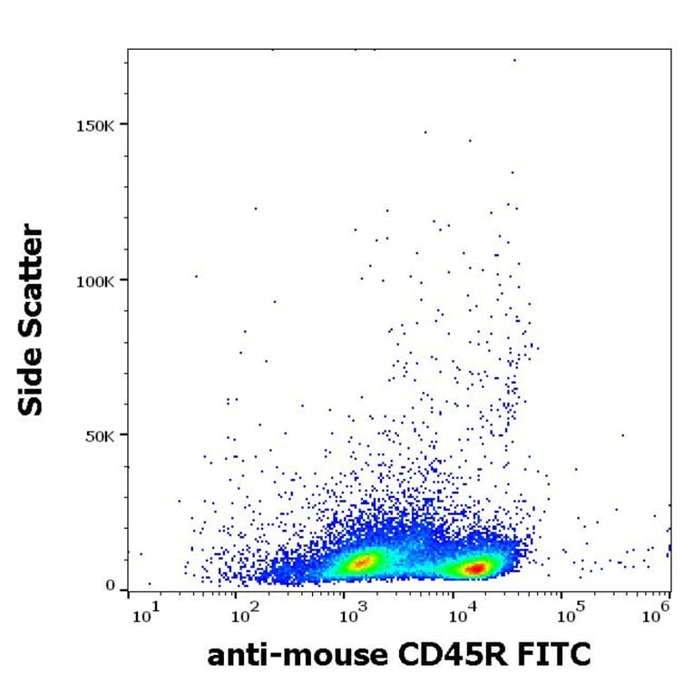 Flow Cytometry - Anti-CD45R Antibody [RA3-6B2] (FITC) (A85840)