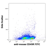 Flow Cytometry - Anti-CD45R Antibody [RA3-6B2] (FITC) (A85840)