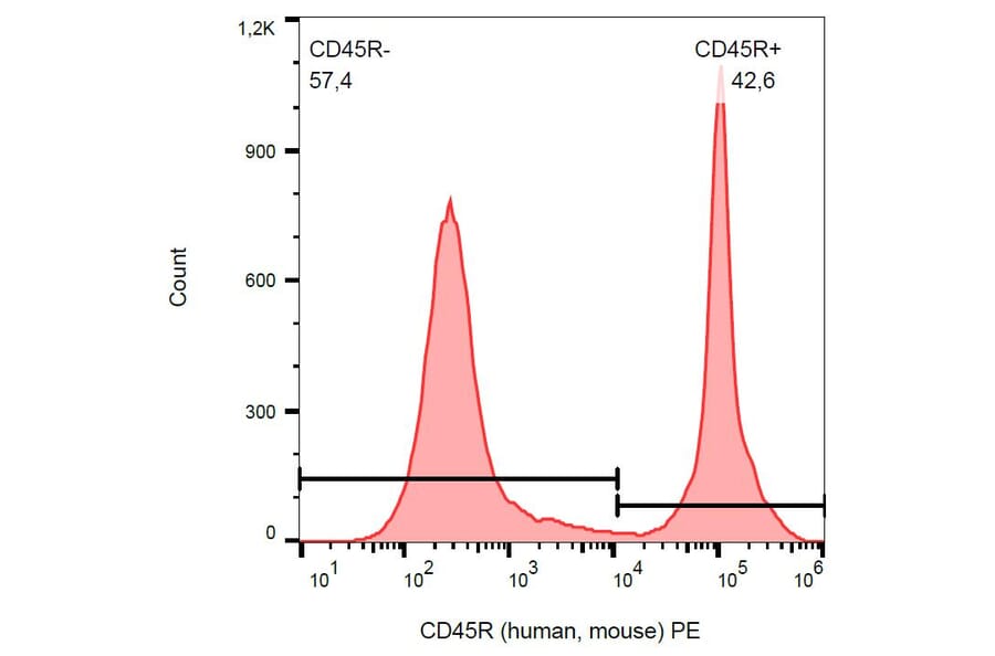 Flow Cytometry - Anti-CD45R Antibody [RA3-6B2] (PE) (A85841)