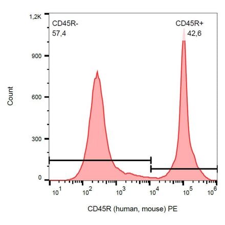 Flow Cytometry - Anti-CD45R Antibody [RA3-6B2] (PE) (A85841)