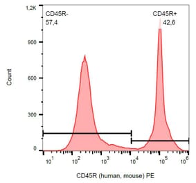 Flow Cytometry - Anti-CD45R Antibody [RA3-6B2] (PE) (A85840) - Antibodies.com