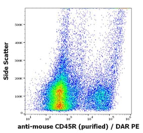 Flow Cytometry - Anti-CD45R Antibody [RA3-6B2] - Low endotoxin, Azide free (A85842)