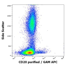 Flow Cytometry - Anti-CD20 Antibody [MEM-97] - BSA and Azide free (A85848)