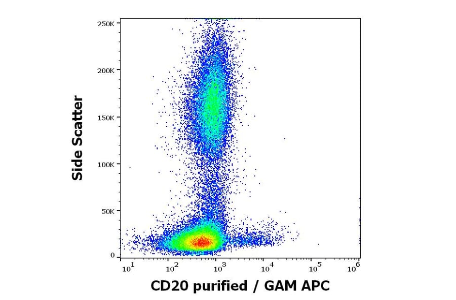 Flow Cytometry - Anti-CD20 Antibody [MEM-97] - BSA and Azide free (A85848)