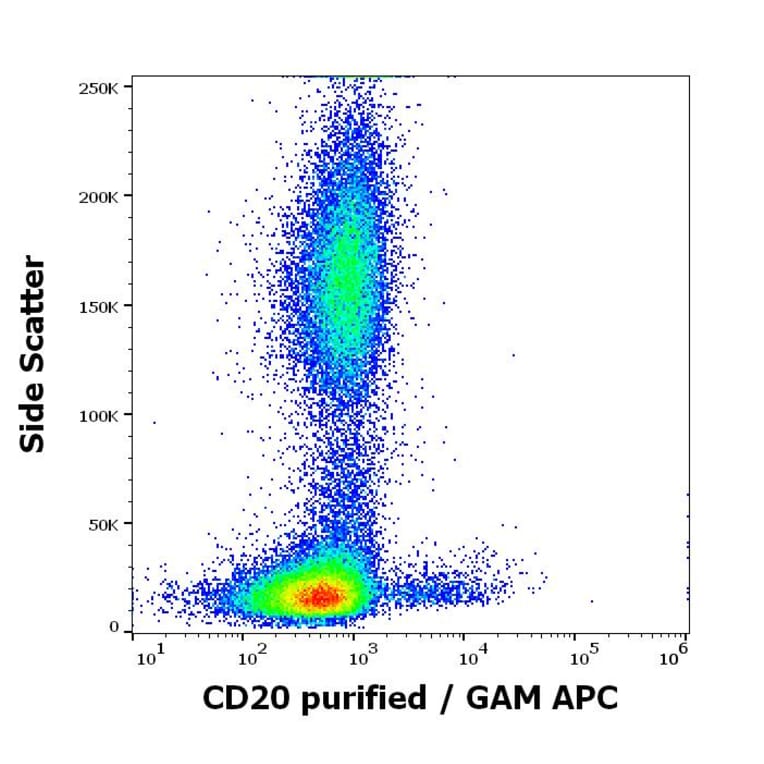 Flow Cytometry - Anti-CD20 Antibody [MEM-97] - BSA and Azide free (A85848)