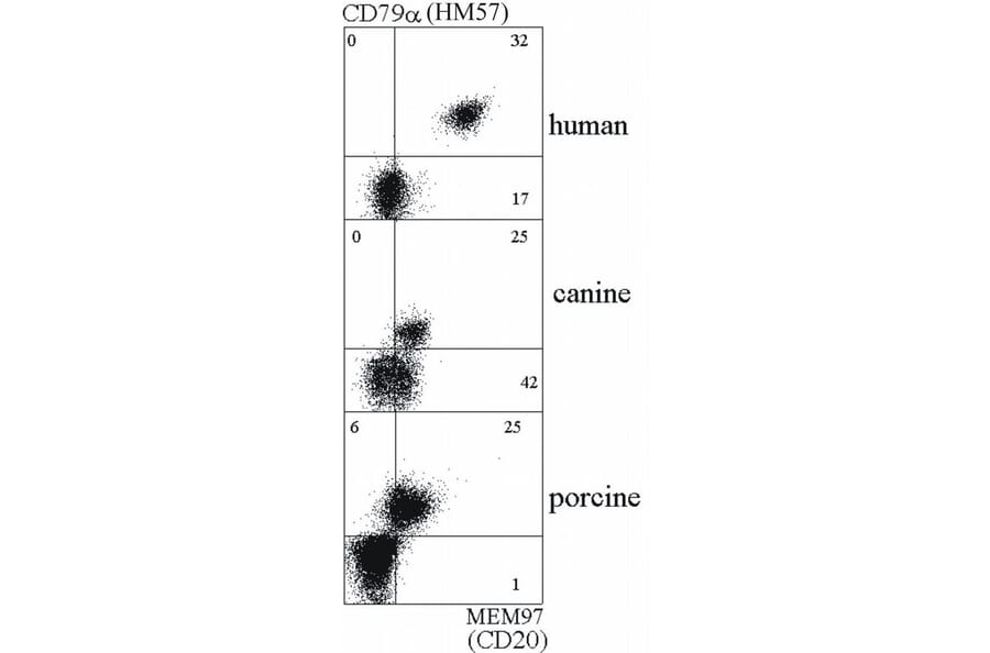 Flow Cytometry - Anti-CD20 Antibody [MEM-97] - BSA and Azide free (A85848)