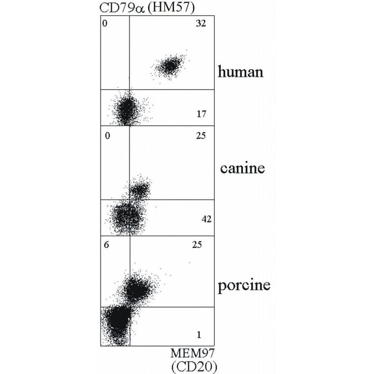 Flow Cytometry - Anti-CD20 Antibody [MEM-97] - BSA and Azide free (A85848)