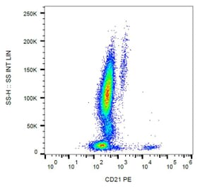 Flow Cytometry - Anti-CD21 Antibody [LT21] (PE) (A85848) - Antibodies.com