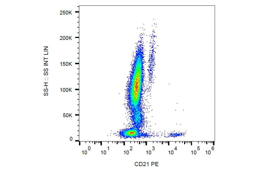 Flow Cytometry - Anti-CD21 Antibody [LT21] (PE) (A85848) - Antibodies.com