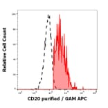 Flow Cytometry - Anti-CD20 Antibody [MEM-97] (A85851)