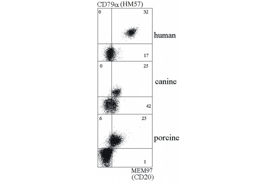 Flow Cytometry - Anti-CD20 Antibody [MEM-97] (A85850) - Antibodies.com