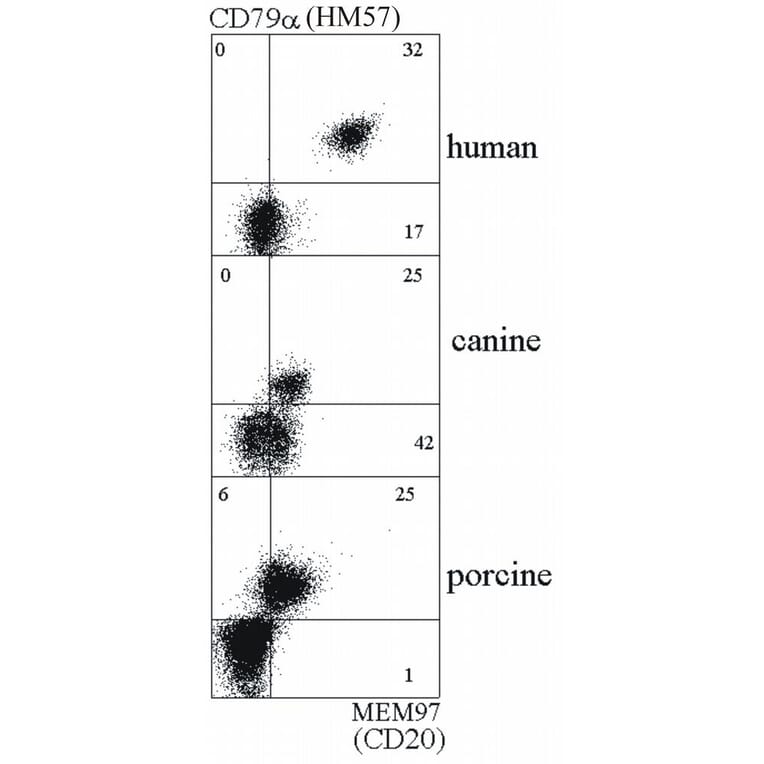 Flow Cytometry - Anti-CD20 Antibody [MEM-97] (A85850) - Antibodies.com
