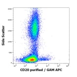 Flow Cytometry - Anti-CD20 Antibody [MEM-97] (A85851)
