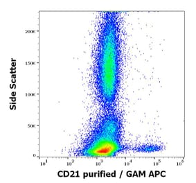 Flow Cytometry - Anti-CD21 Antibody [LT21] (A85852)
