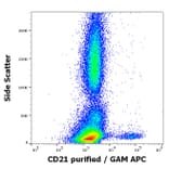 Flow Cytometry - Anti-CD21 Antibody [LT21] (A85852)