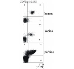 Flow Cytometry - Anti-CD21 Antibody [LT21] (A85851) - Antibodies.com