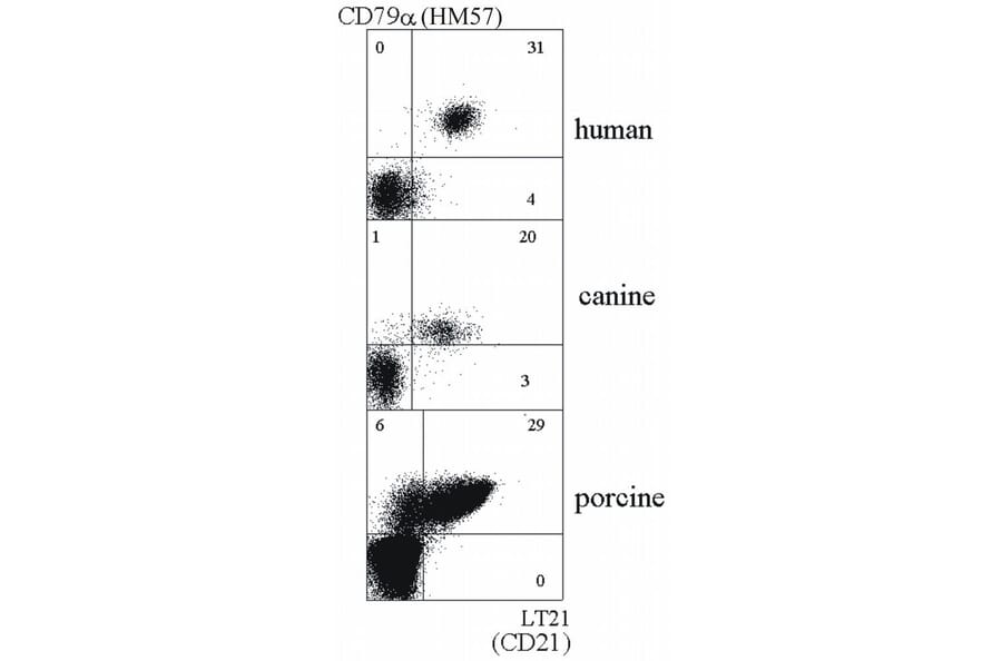 Flow Cytometry - Anti-CD21 Antibody [LT21] (A85851) - Antibodies.com