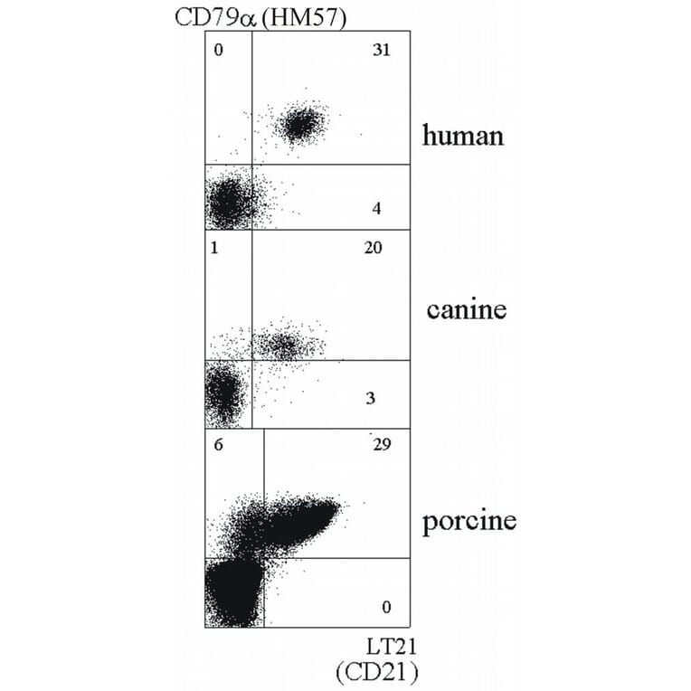 Flow Cytometry - Anti-CD21 Antibody [LT21] (A85851) - Antibodies.com