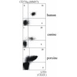 Flow Cytometry - Anti-CD21 Antibody [LT21] (A85851) - Antibodies.com