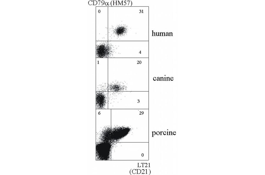 Flow Cytometry - Anti-CD21 Antibody [LT21] (A85852)