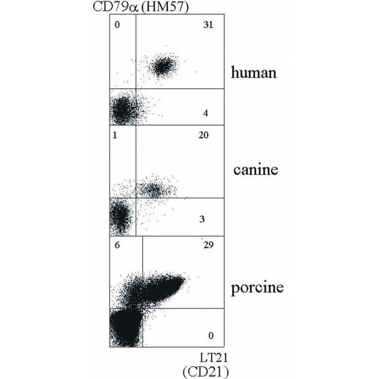 Flow Cytometry - Anti-CD21 Antibody [LT21] (A85852)