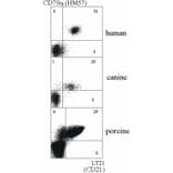 Flow Cytometry - Anti-CD21 Antibody [LT21] (A85852)