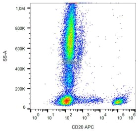 Flow Cytometry - Anti-CD20 Antibody [LT20] (APC) (A85856)
