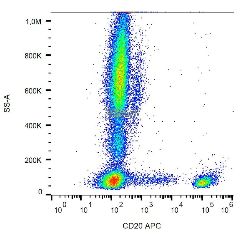 Flow Cytometry - Anti-CD20 Antibody [LT20] (APC) (A85856)
