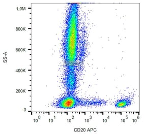 Flow Cytometry - Anti-CD20 Antibody [LT20] (APC) (A85854) - Antibodies.com