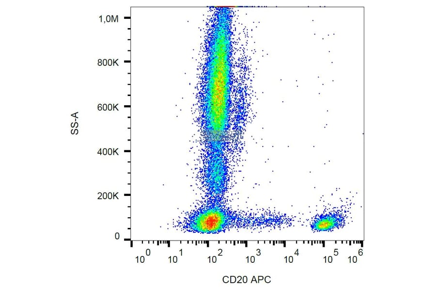 Flow Cytometry - Anti-CD20 Antibody [LT20] (APC) (A85854) - Antibodies.com