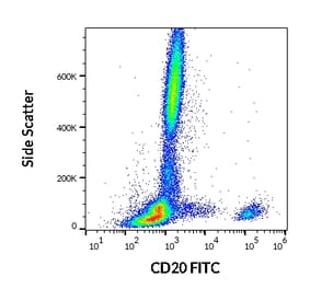Flow Cytometry - Anti-CD20 Antibody [LT20] (FITC) (A85809) - Antibodies.com