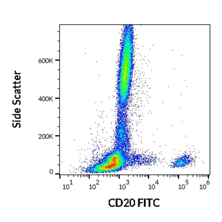 Flow Cytometry - Anti-CD20 Antibody [LT20] (FITC) (A85809) - Antibodies.com