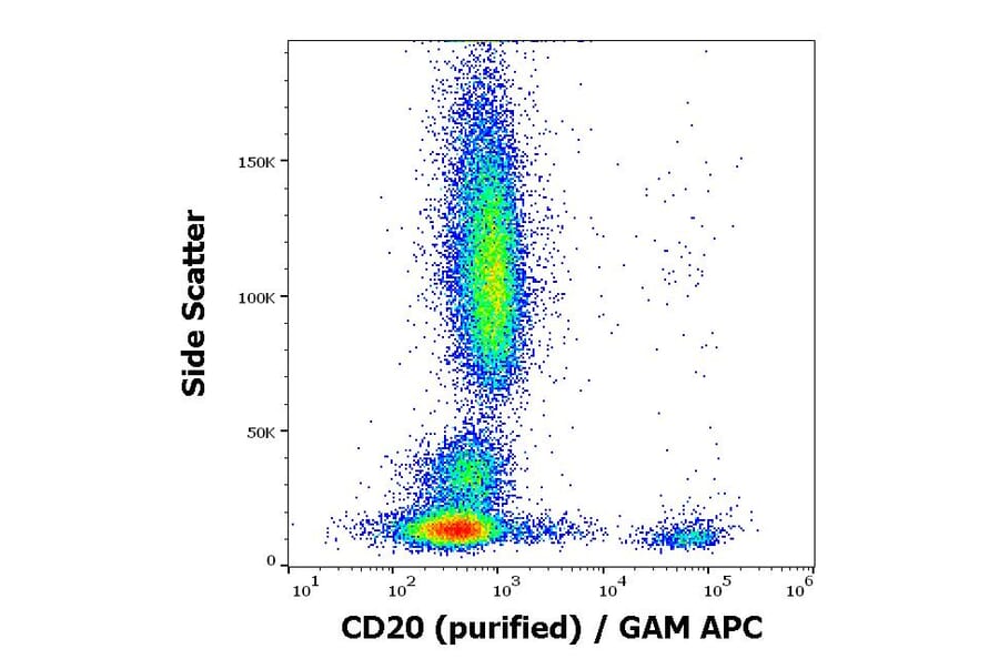 Flow Cytometry - Anti-CD20 Antibody [LT20] (A85859)