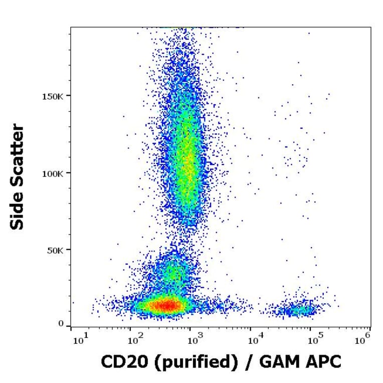 Flow Cytometry - Anti-CD20 Antibody [LT20] (A85859)