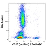 Flow Cytometry - Anti-CD20 Antibody [LT20] (A85859)
