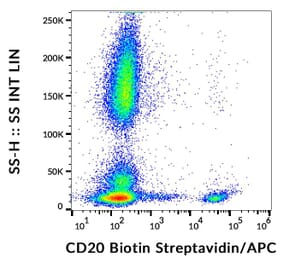 Flow Cytometry - Anti-CD20 Antibody [LT20] (Biotin) (A85861)